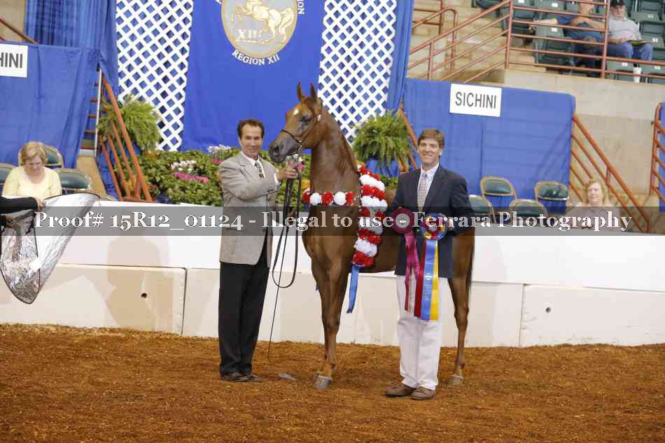 Proof 15R12_01124