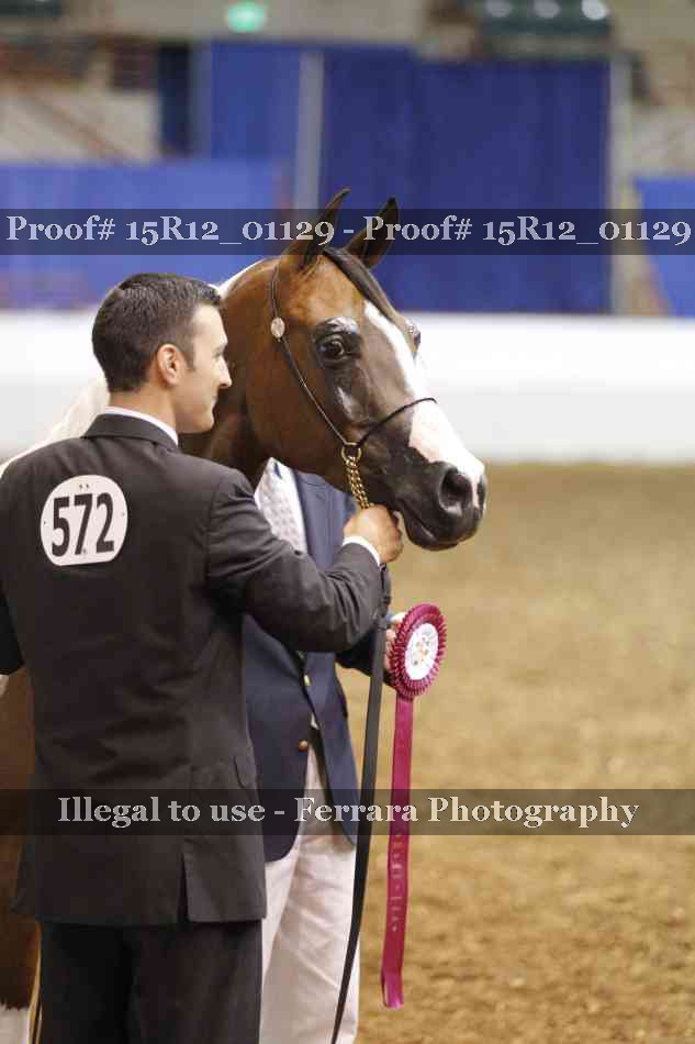 Proof 15R12_01129
