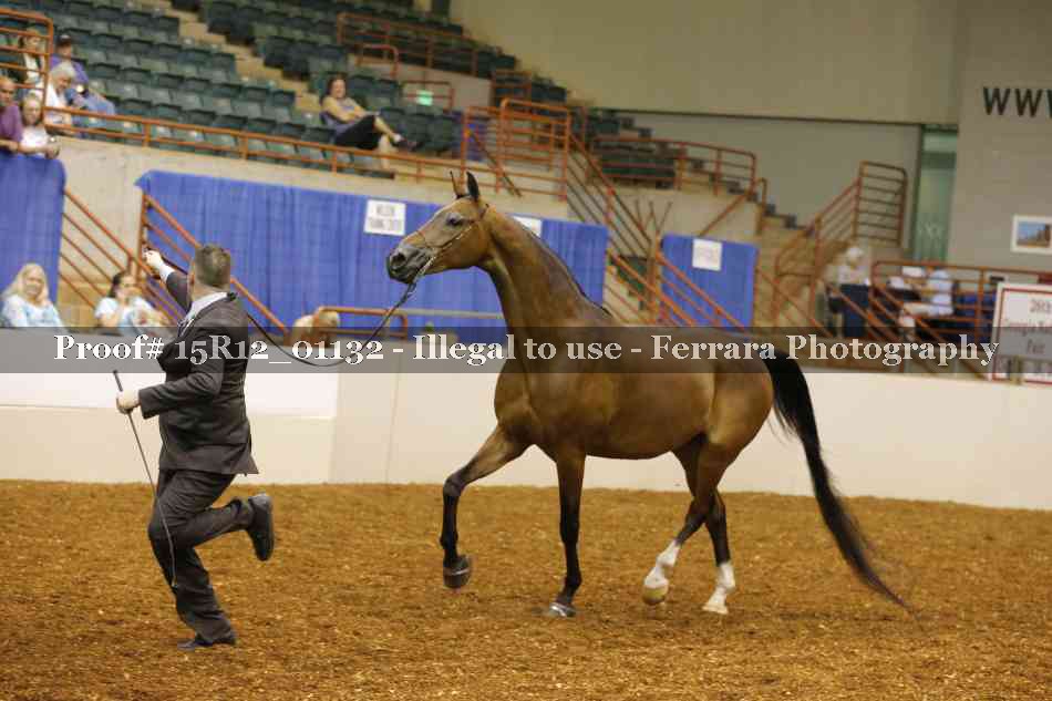 Proof 15R12_01132