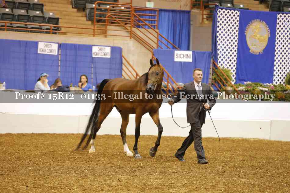 Proof 15R12_01133