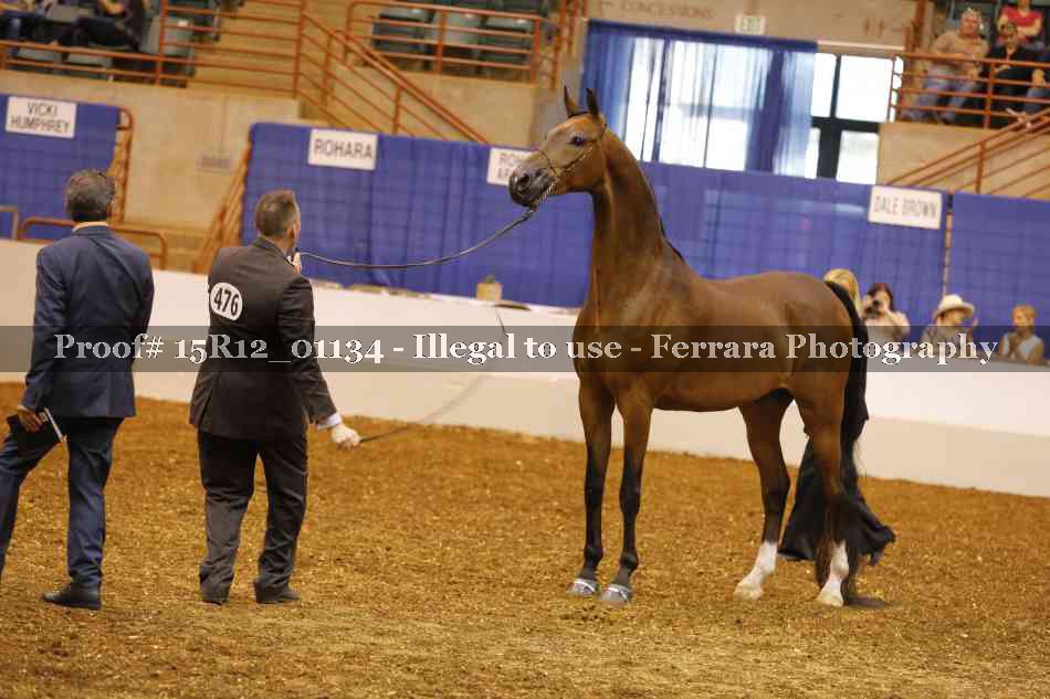 Proof 15R12_01134