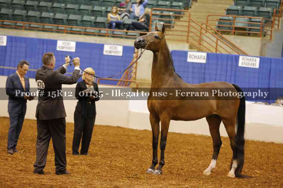 Proof 15R12_01135