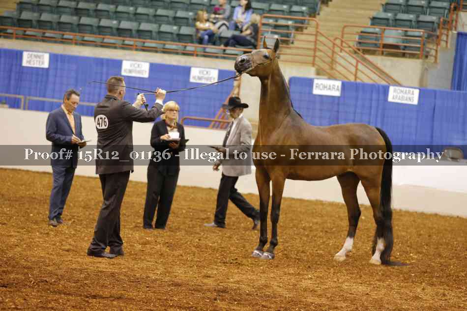 Proof 15R12_01136