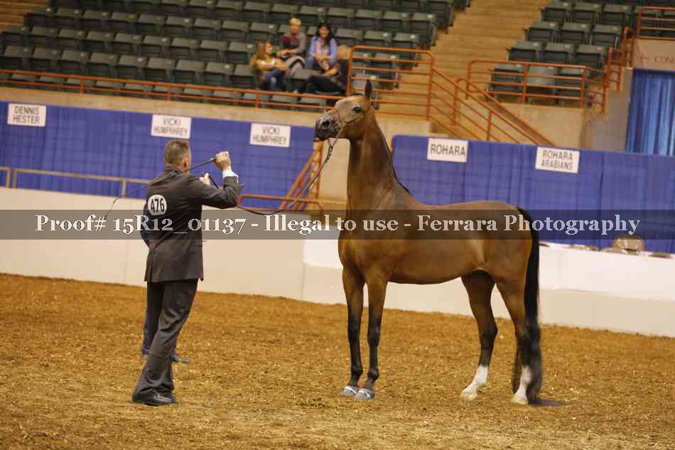 Proof 15R12_01137