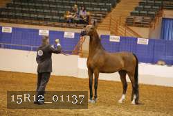 15R12_01137 proof