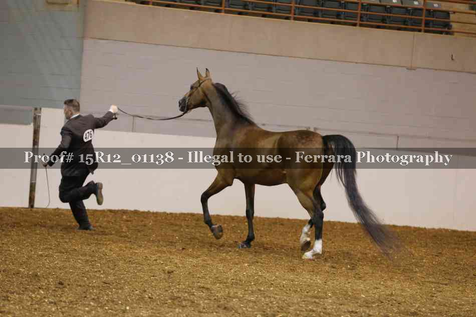 Proof 15R12_01138