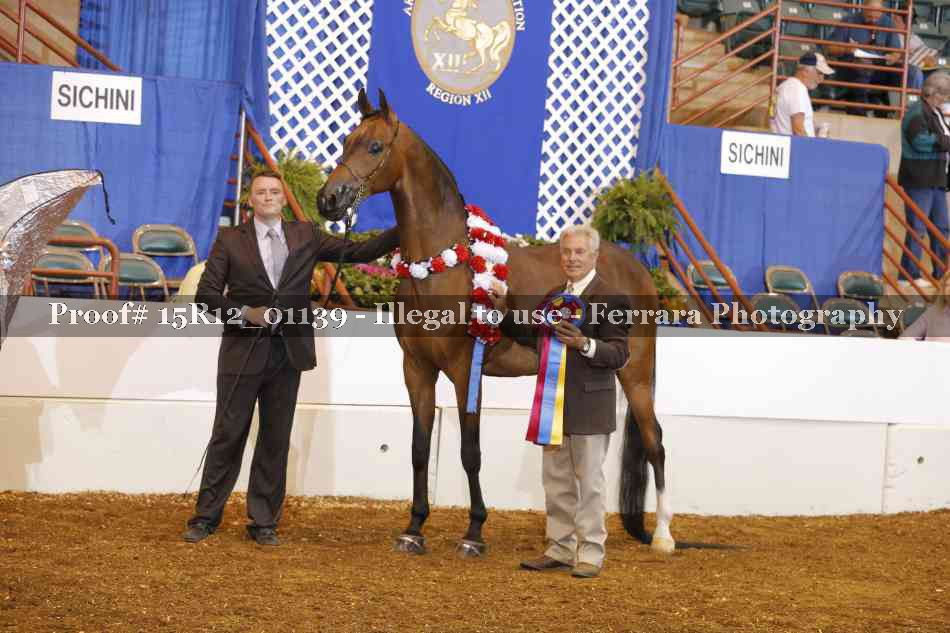 Proof 15R12_01139