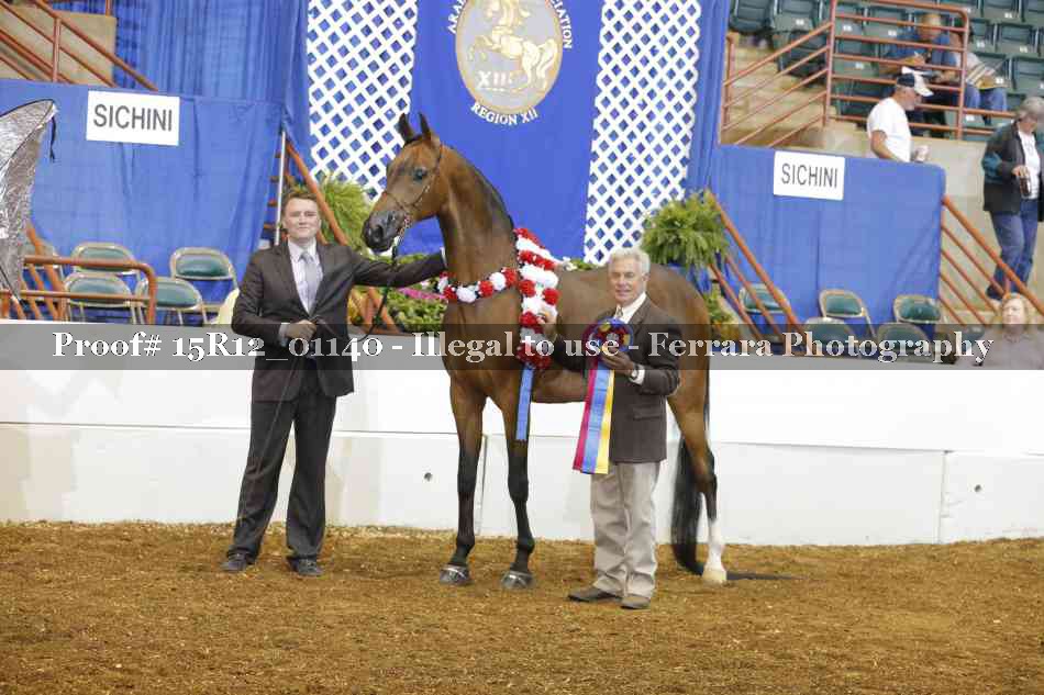 Proof 15R12_01140