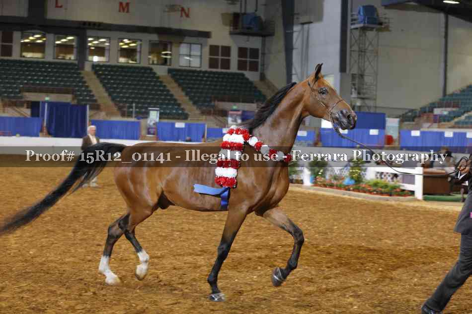 Proof 15R12_01141
