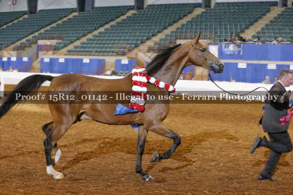Proof 15R12_01142
