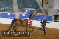 15R12_01143 proof