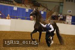 15R12_01145 proof