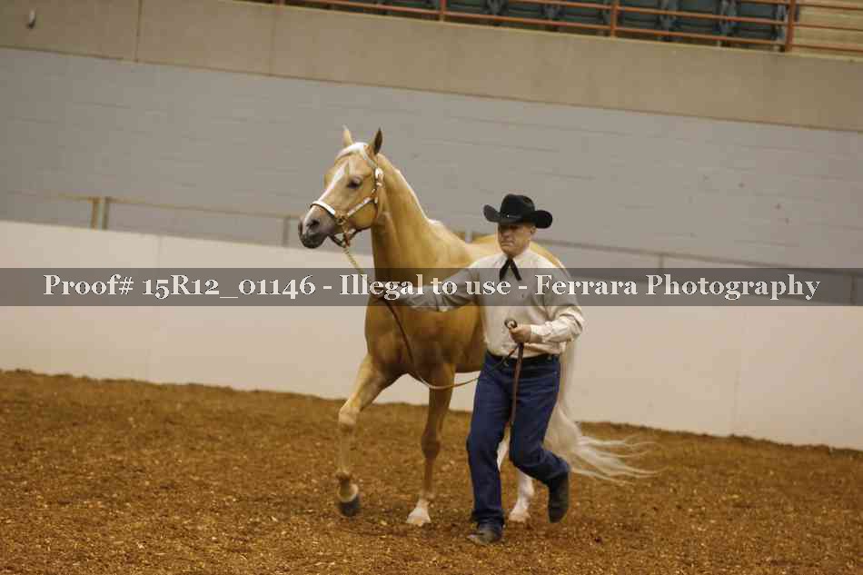 Proof 15R12_01146
