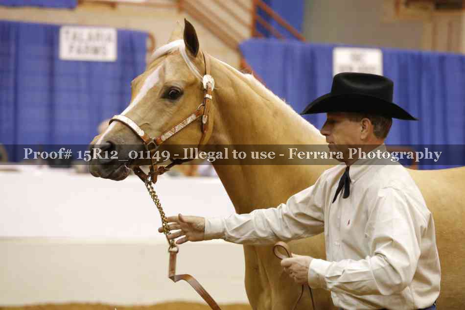 Proof 15R12_01149