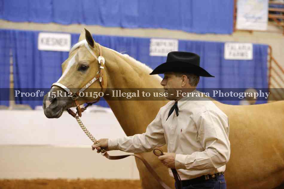 Proof 15R12_01150