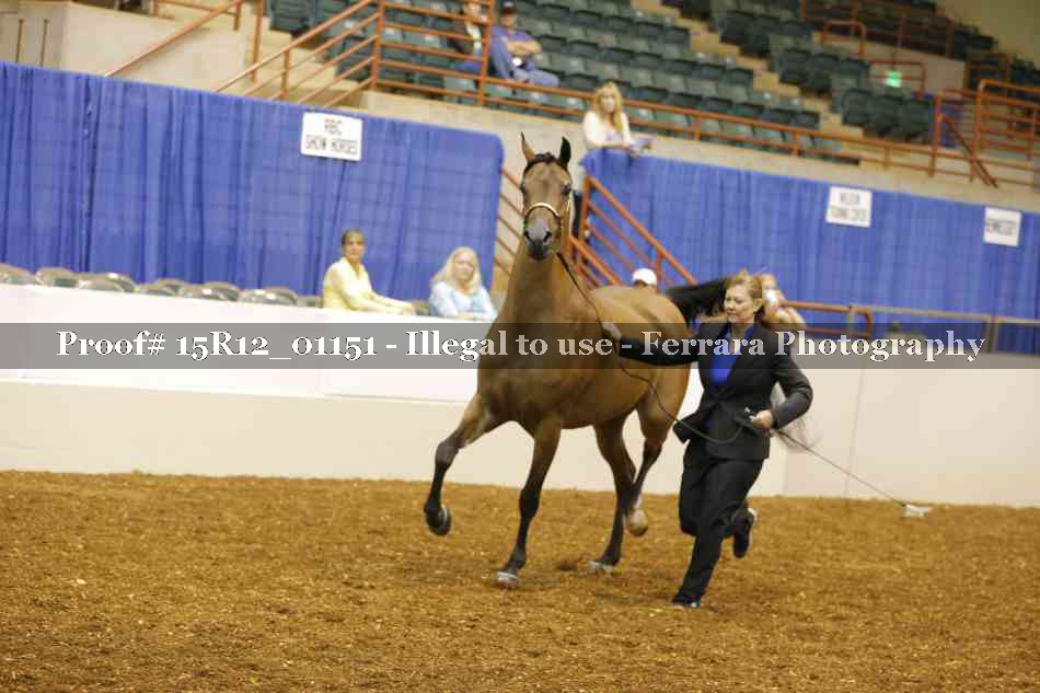 Proof 15R12_01151