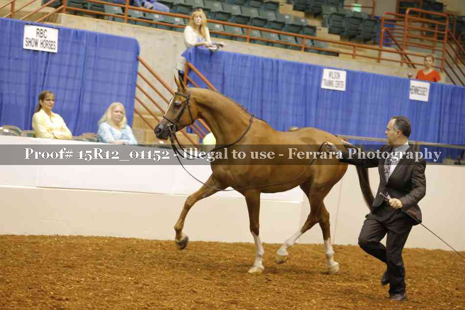 Proof 15R12_01152