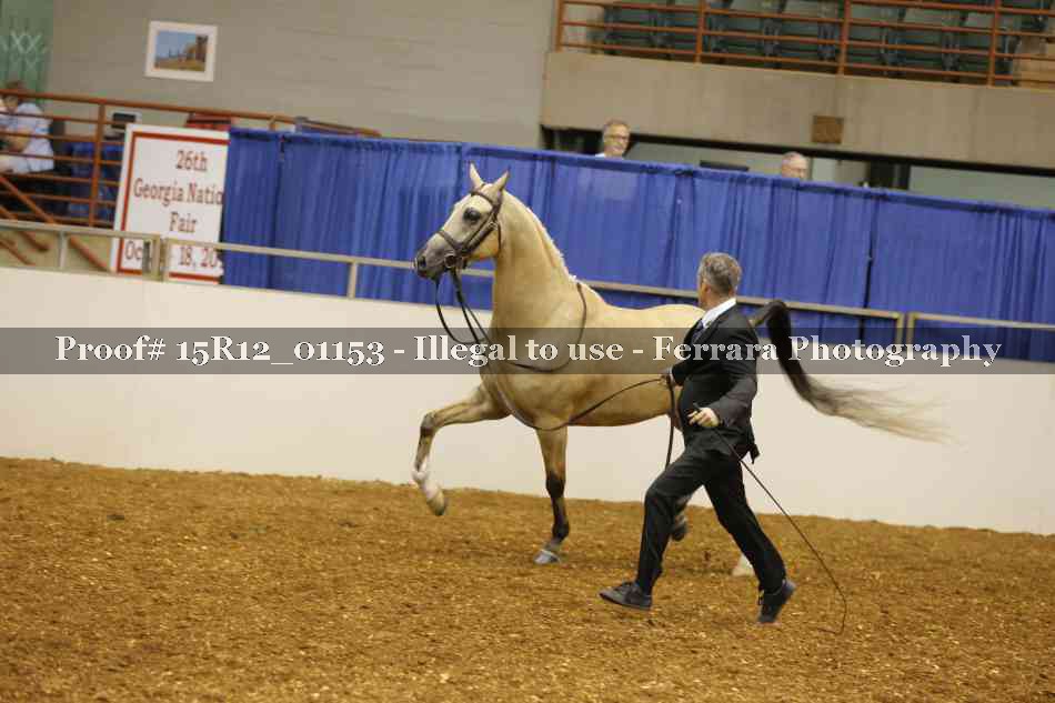Proof 15R12_01153