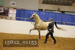 15R12_01153 proof