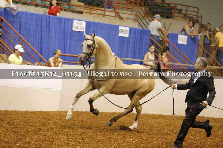 Proof 15R12_01154