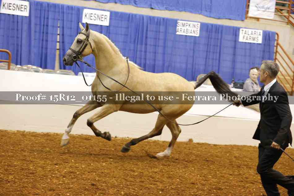 Proof 15R12_01155
