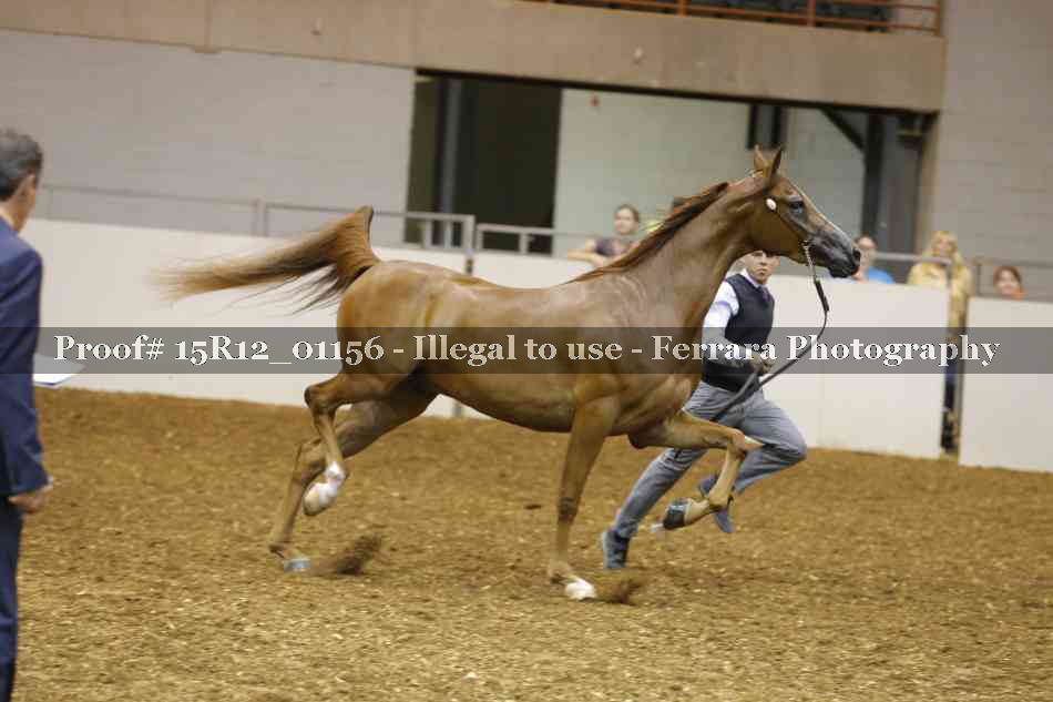 Proof 15R12_01156