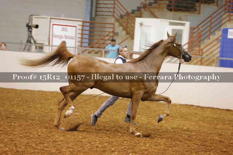 Proof 15R12_01157