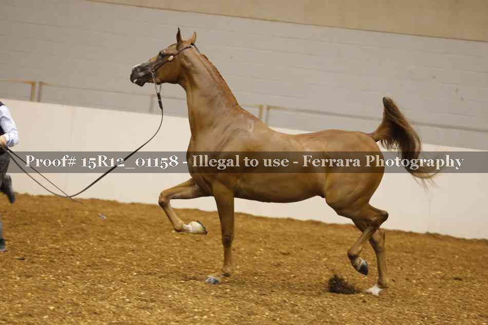Proof 15R12_01158