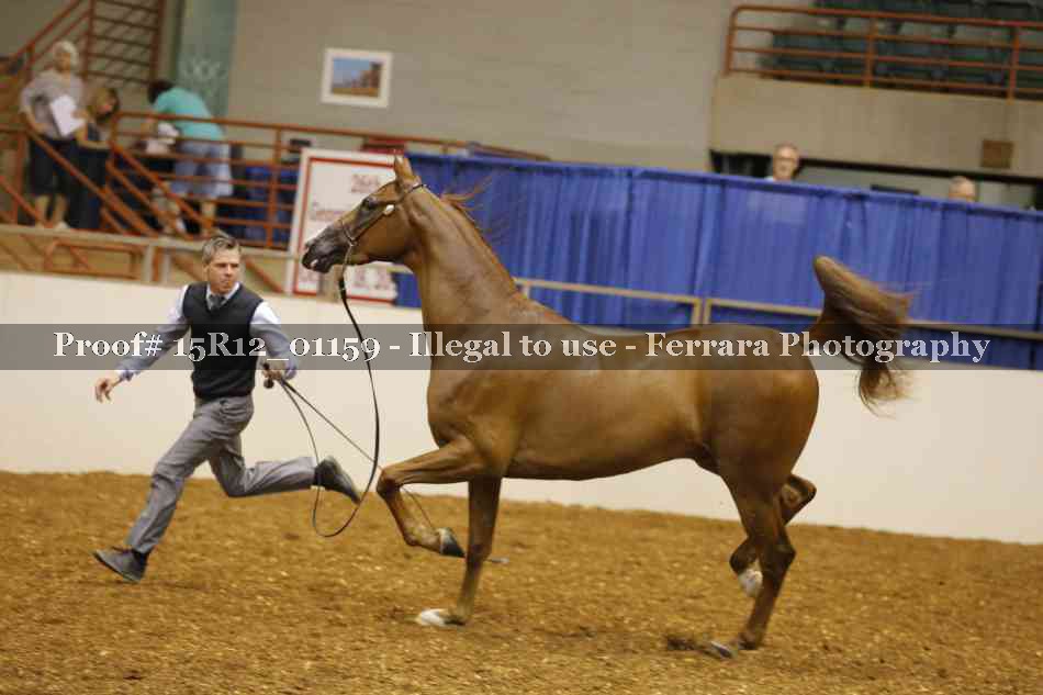 Proof 15R12_01159