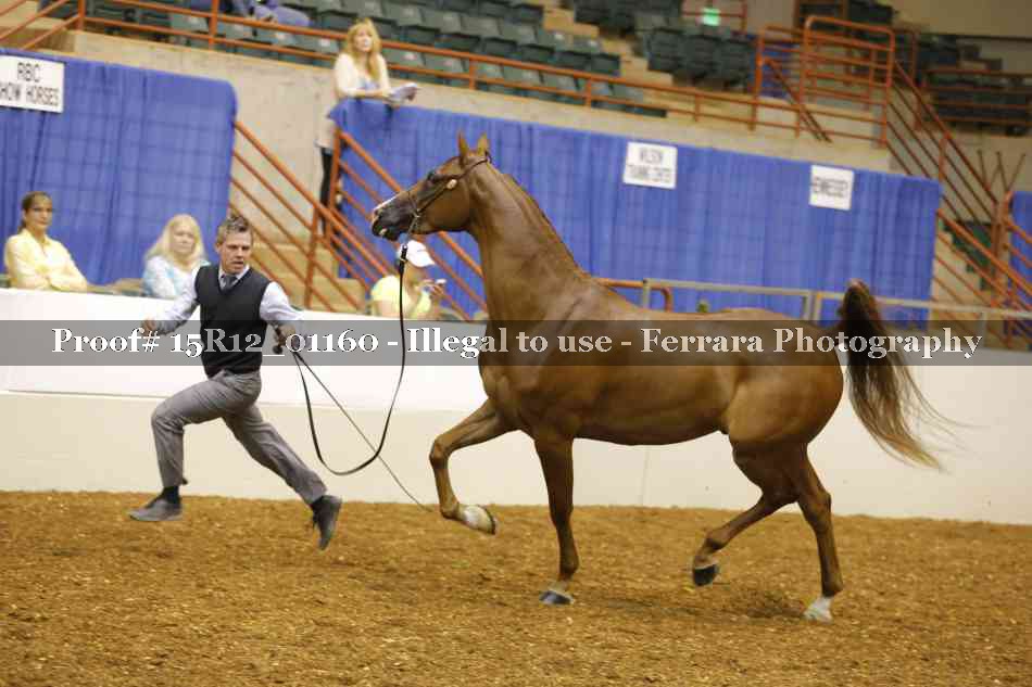 Proof 15R12_01160