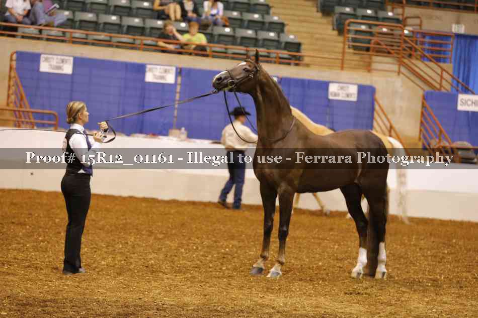 Proof 15R12_01161