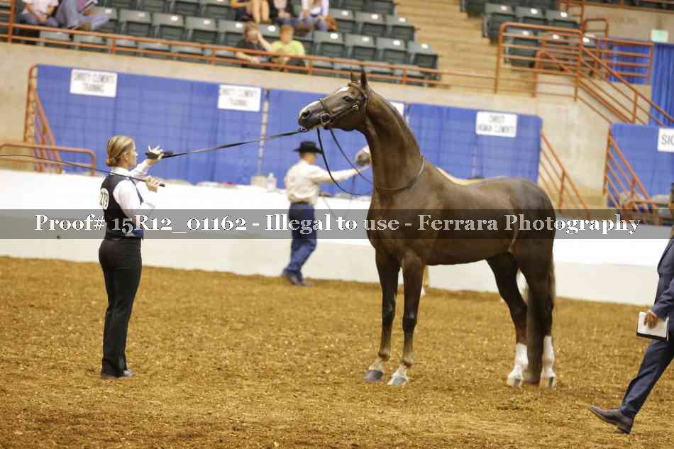 Proof 15R12_01162