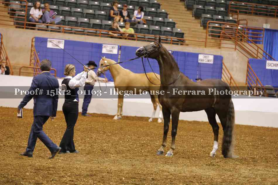 Proof 15R12_01163