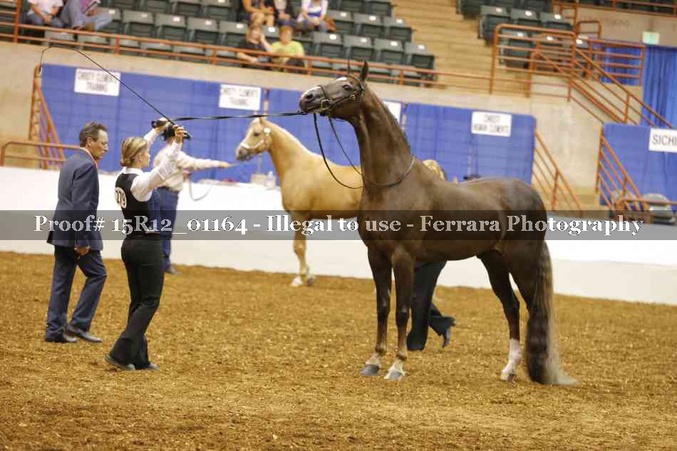 Proof 15R12_01164