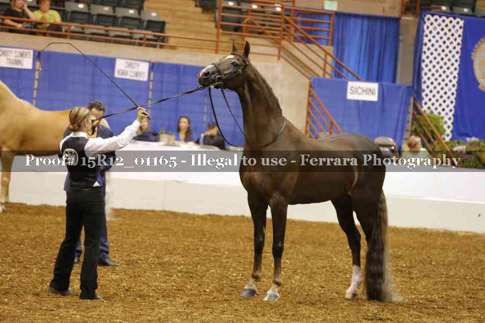 Proof 15R12_01165