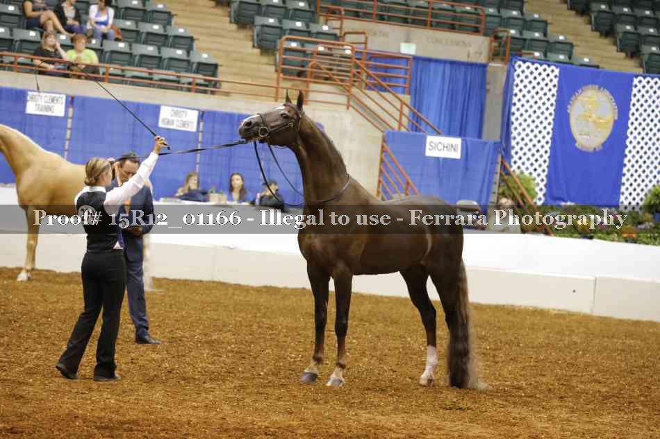 Proof 15R12_01166