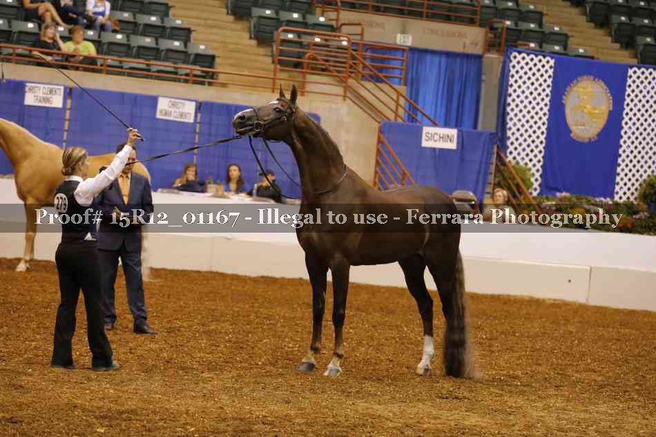 Proof 15R12_01167