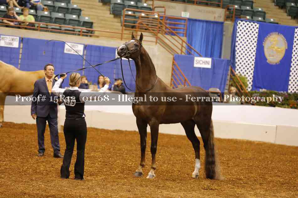 Proof 15R12_01168