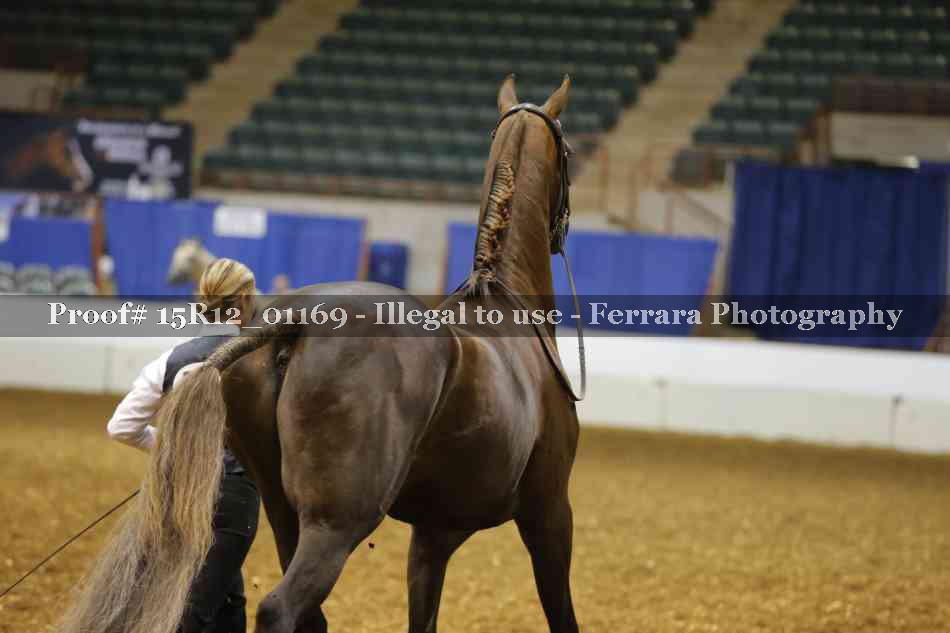 Proof 15R12_01169