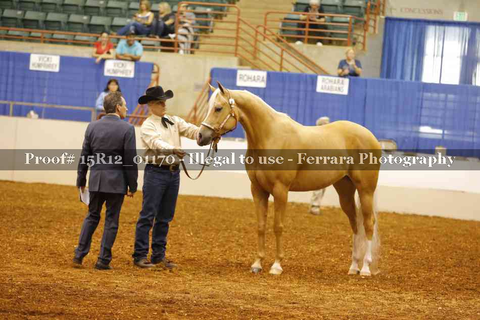 Proof 15R12_01170