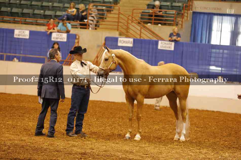 Proof 15R12_01171