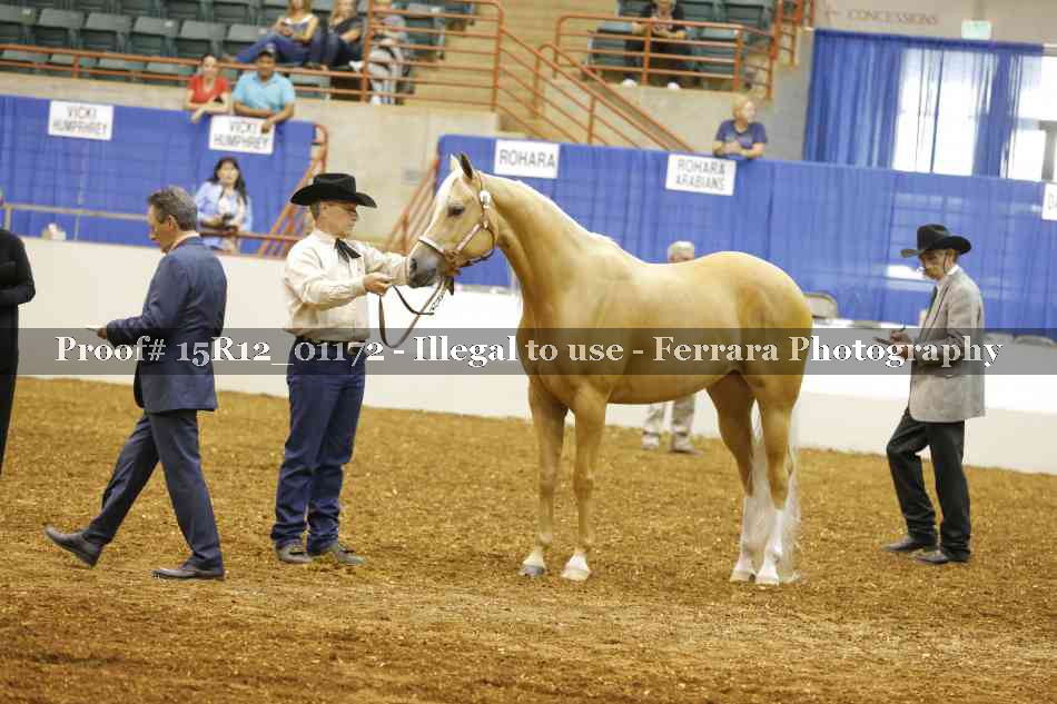 Proof 15R12_01172