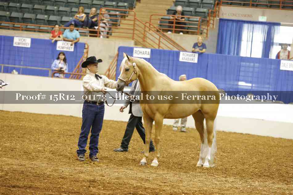 Proof 15R12_01173