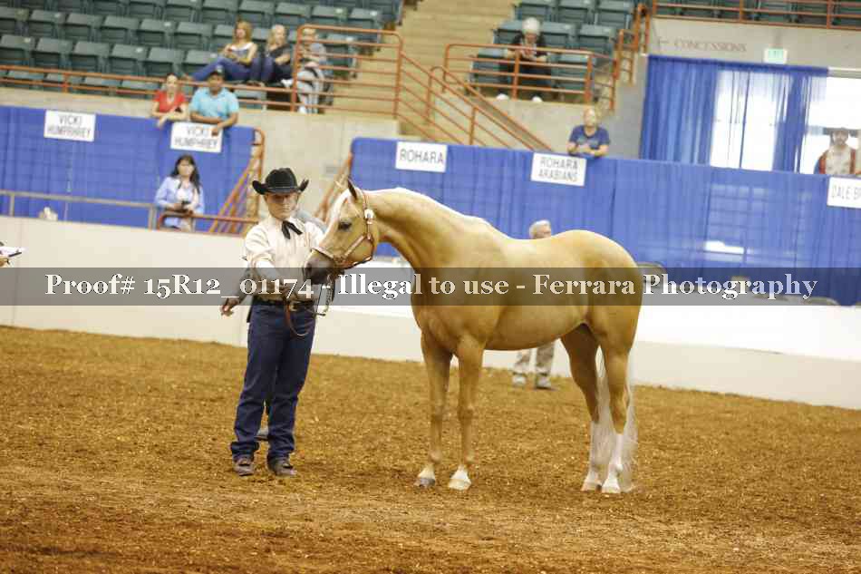 Proof 15R12_01174