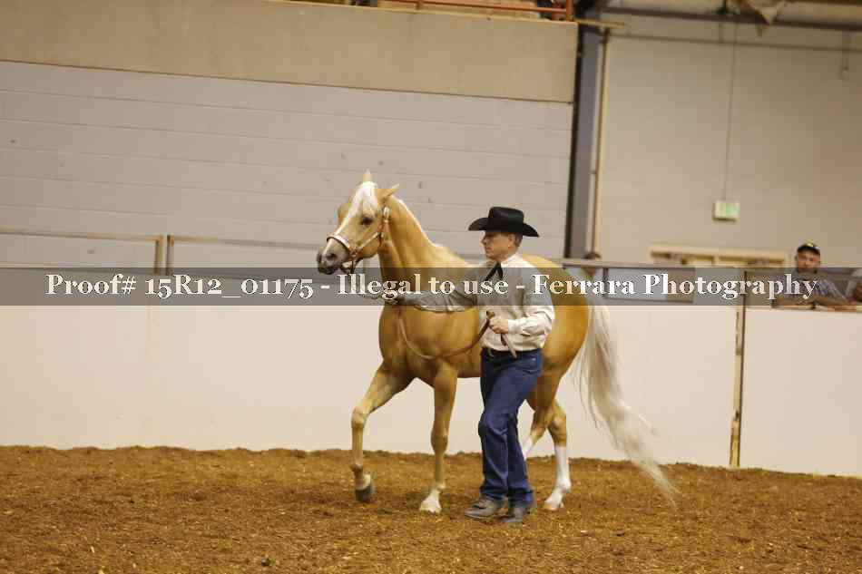 Proof 15R12_01175