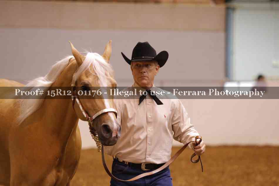 Proof 15R12_01176