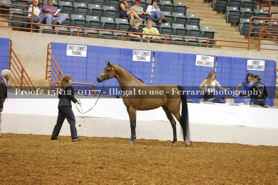 Proof 15R12_01177