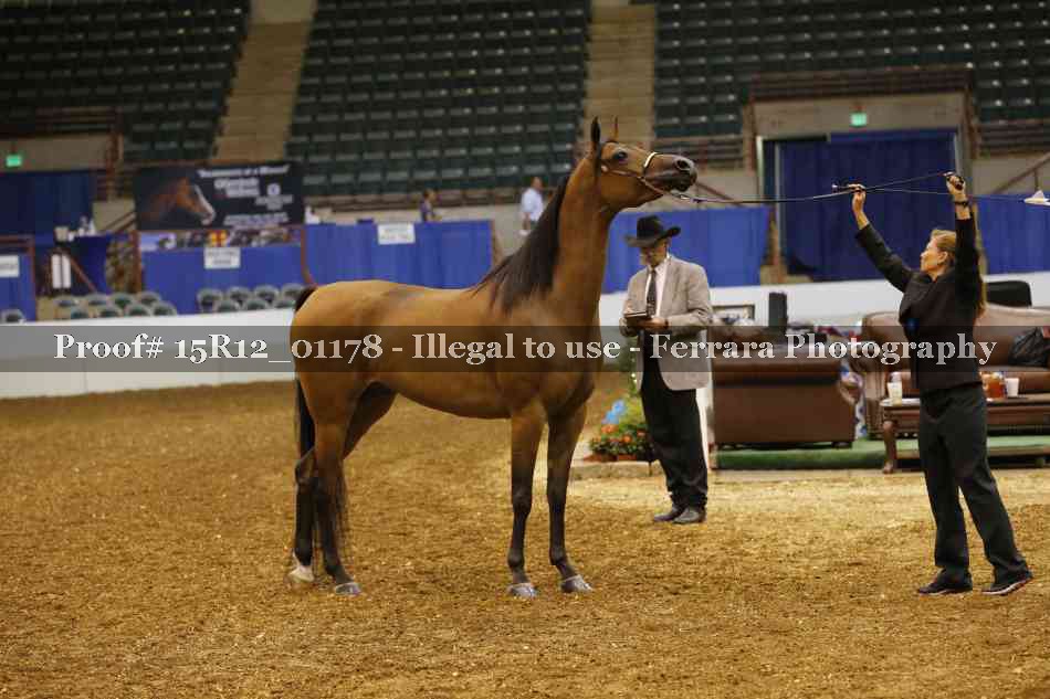 Proof 15R12_01178