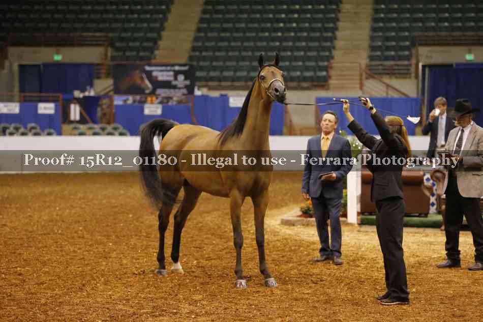 Proof 15R12_01180