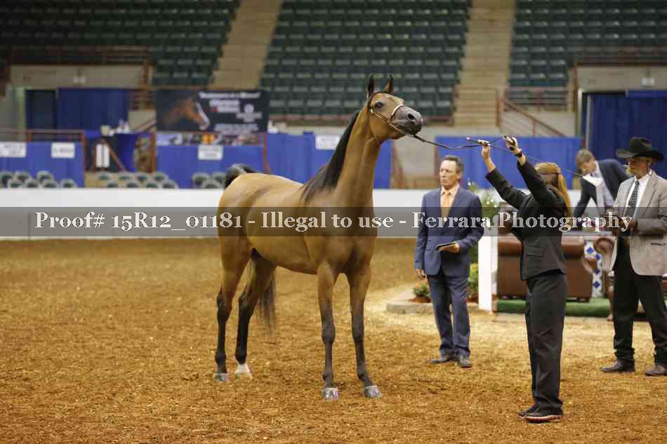 Proof 15R12_01181
